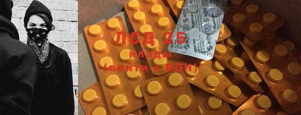 ПСИЛОЦИБИНОВЫЕ ГРИБЫ Кадников