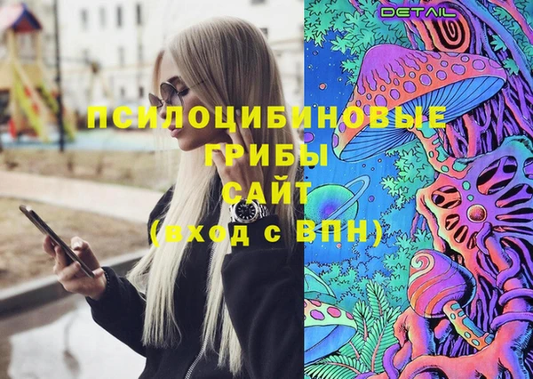 гашик Михайловка