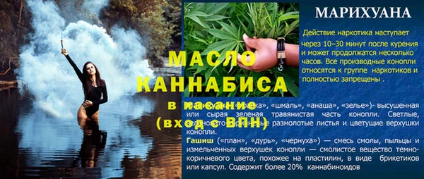 гашик Михайловка
