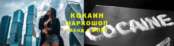 гашик Михайловка