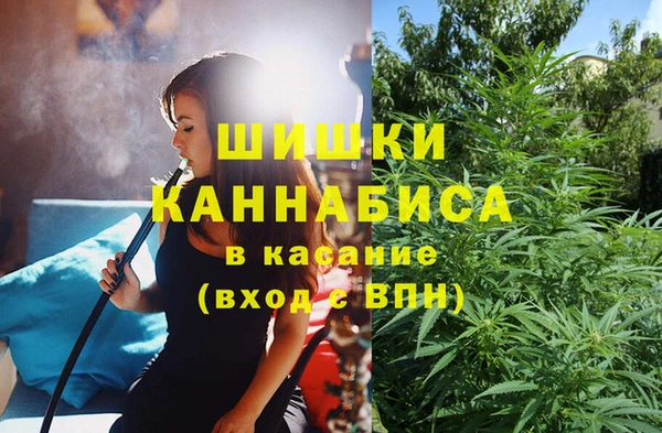 гашик Михайловка