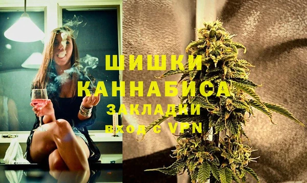 ПСИЛОЦИБИНОВЫЕ ГРИБЫ Кадников