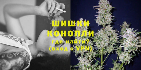 гашик Михайловка