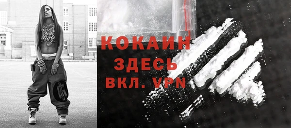 ПСИЛОЦИБИНОВЫЕ ГРИБЫ Кадников
