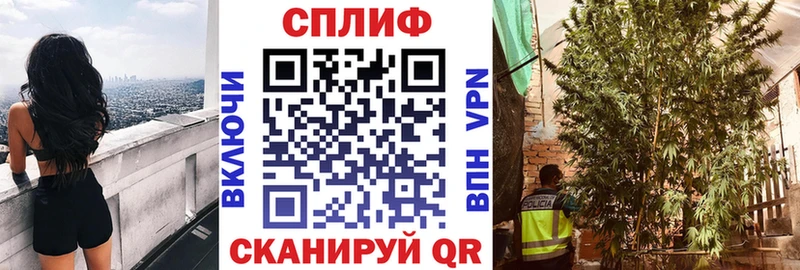 нарко площадка состав Очёр Бошки марихуана гибрид